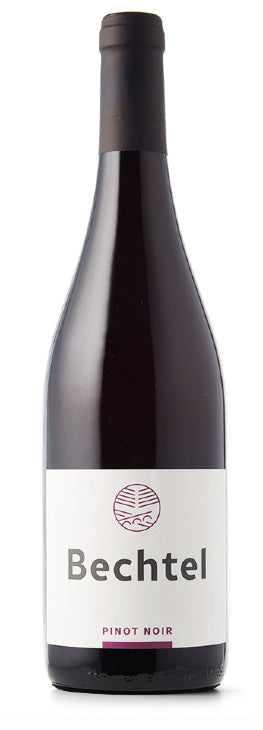 Pinot Noir Blauburgunder - Bechtel-Weine - Schweizer Wein