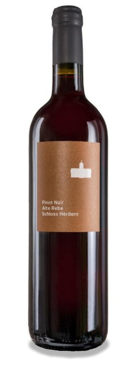 Pinot Noir Alte Rebe Schloss Herdern Pinot Noir Alte Rebe