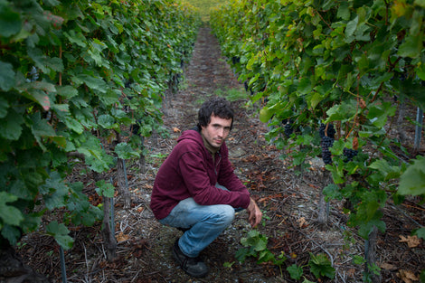 Rebbergführung mit Weindegustation - Caves du Paradis