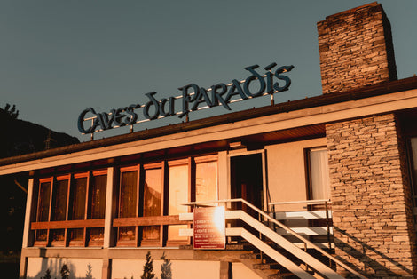 Rebbergführung mit Weindegustation - Caves du Paradis