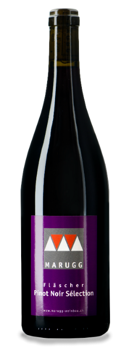 Pinot Noir Sélection Weingut im Polnisch Pinot Noir Sélection