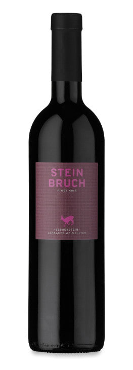 Steinbruch Pinot Noir Besserstein Wein