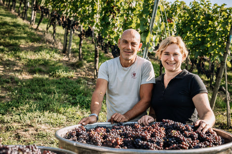 Weindegustation in der Vinothek - Haag Weine